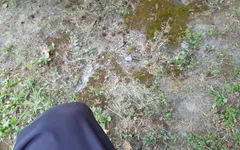 18 yaşındaki kız parkta işerken ve mastürbasyon yaparken neredeyse yakalanıyor