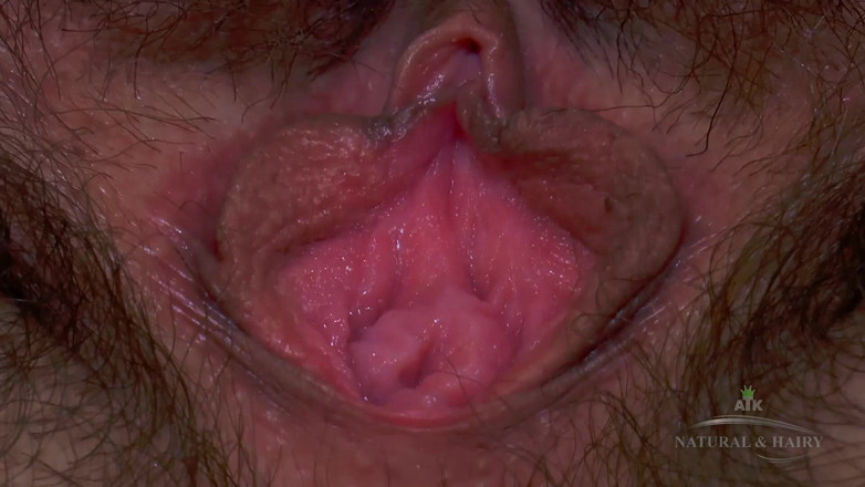 ATK Fans (Solo): Hairy Pussy and Toys