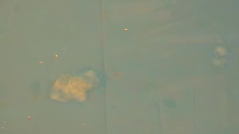 Mark Hannes: Fleshlight - masturbação na mesa