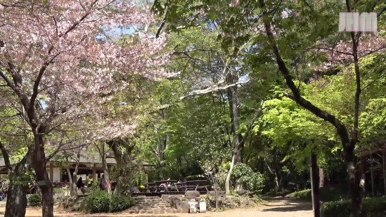 Japanese Hentai Matings: Horký pramen - Aya, 27, vdaná žena - 1