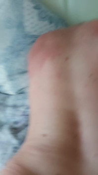 Fucking My Wife Like Roosters