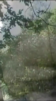 Najgorętsze outdoor piesek jebanie dla slutty blonde italian cougar Big Ass Vol 2