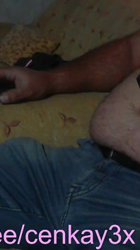 Horny Bear Is on Live