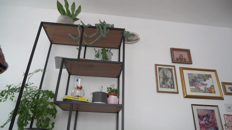 Sasha Curves: Cewek raksasa ini lagi asik main petak umpet sama teman...