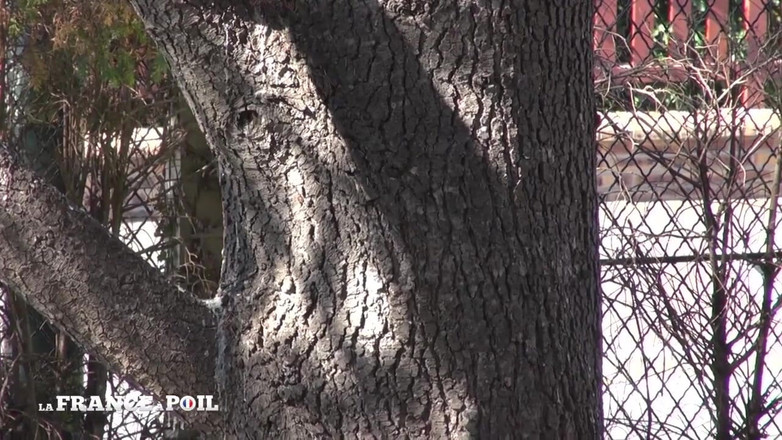 French Gonzo: Horny Small Titted Housewife Gets Hard Banged and Facialized by...