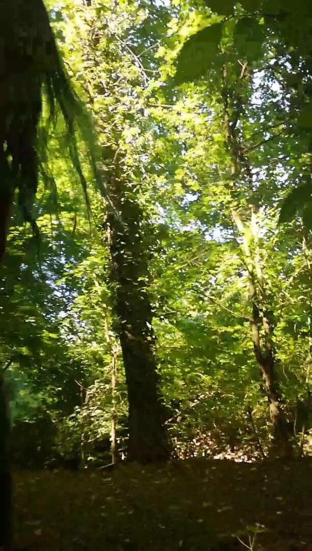 Babe2race: Masturbación en el bosque durante el almuerzo