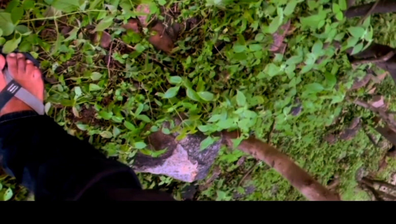 Pihu bhabhi: Индийскую девушку трахнул на улице в лесу ее бойфренд