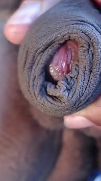 Uncut Cock - Foreskin - Big Balls - Pubic Hair