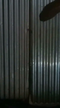 Videoclip de bună dimineața