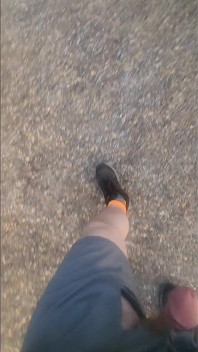 Fui passear na parada de caminhões