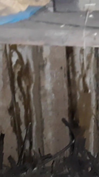 Village Girl Masturbates Hotly in a Cold Barn
