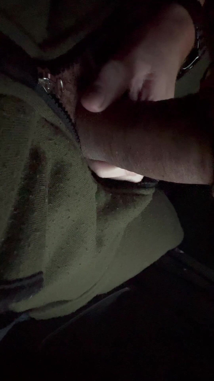 Hot dick in your ass: 내 털이 무성한 자지를 차에서 따먹게 하는 동네 짱 드라이버