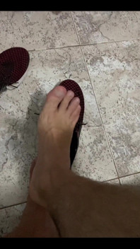 Pies Pies Pies