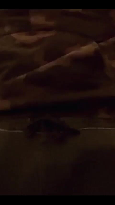 UnderXiaoQiang: 내가 소변을 보기 전에 잘려버렸어.