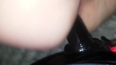 Harley Paradise: Getting Pegged