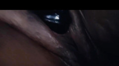 Cuteteddy: Bere velkého tlustého černého ptáka