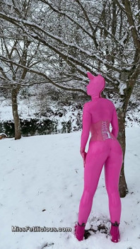 Snow Piggy