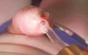 The Substance: Oh My God! I Penetrate My Penis Eye!