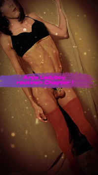Introduction to the Typical Day of a Sissy Model