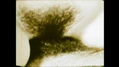 The Unforgettable: Занди - дикий любовник