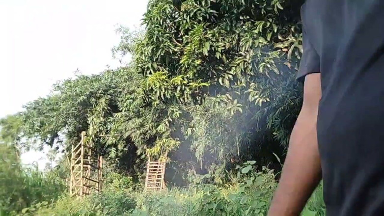 DesiDarkArt: Desi Shemale Gay Boy Sesking Big Back Dig Comsot