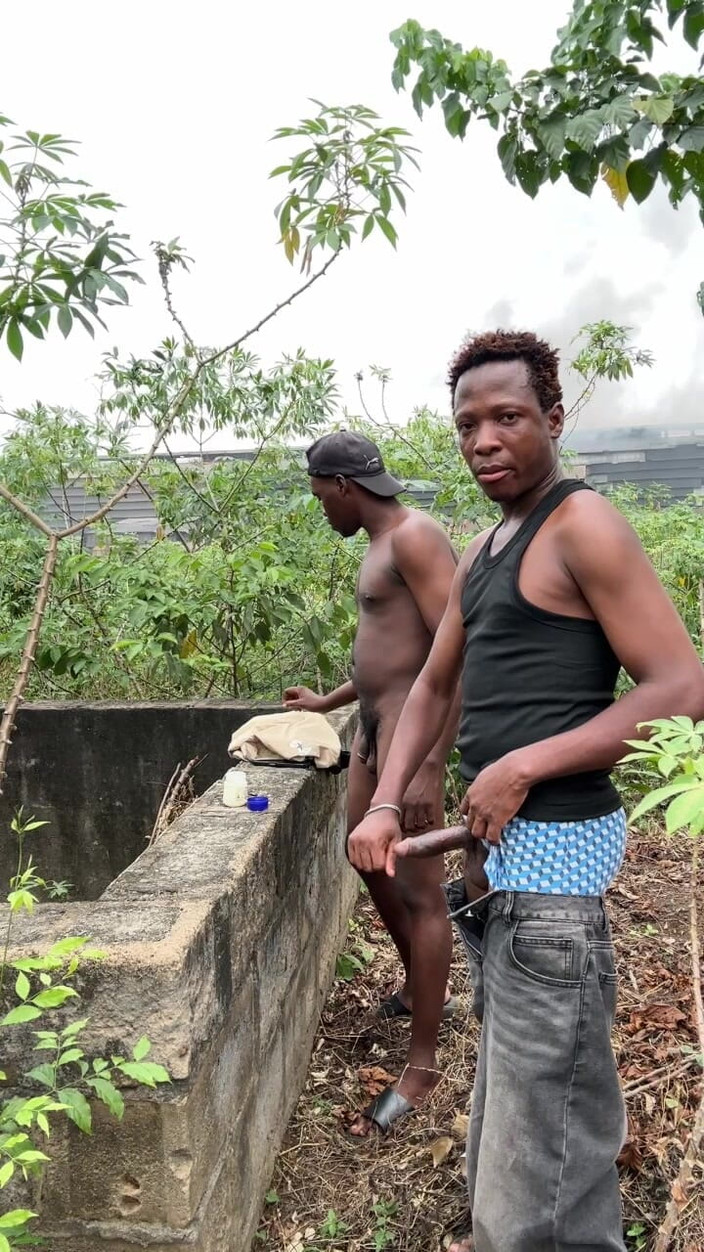 Purplecum: Inuti skogsknull