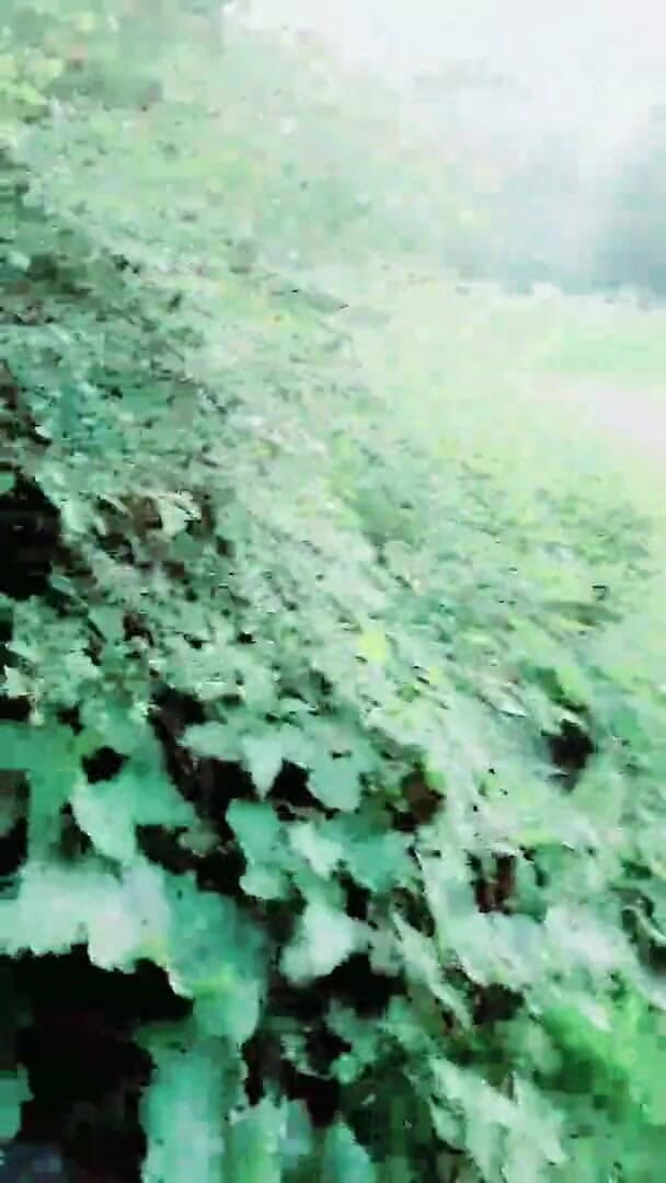 Slutboyben: Il ragazzo troiaben cam4 esibizionista sexy pornostar scopata dal cervello