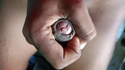 LinearOrnament35: Poprvé tran me sex kia nebo dusre girl se