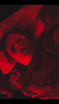 Red Light Nikki Cakes