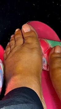 Mz jarsi ke saath ravivaar talve ka din paripakv ho raha hai bara mansal aakaar 8.5 phit
