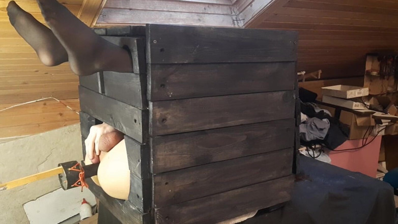 DiiVampy: Trapped in a Crate - Machine Anal Fuck