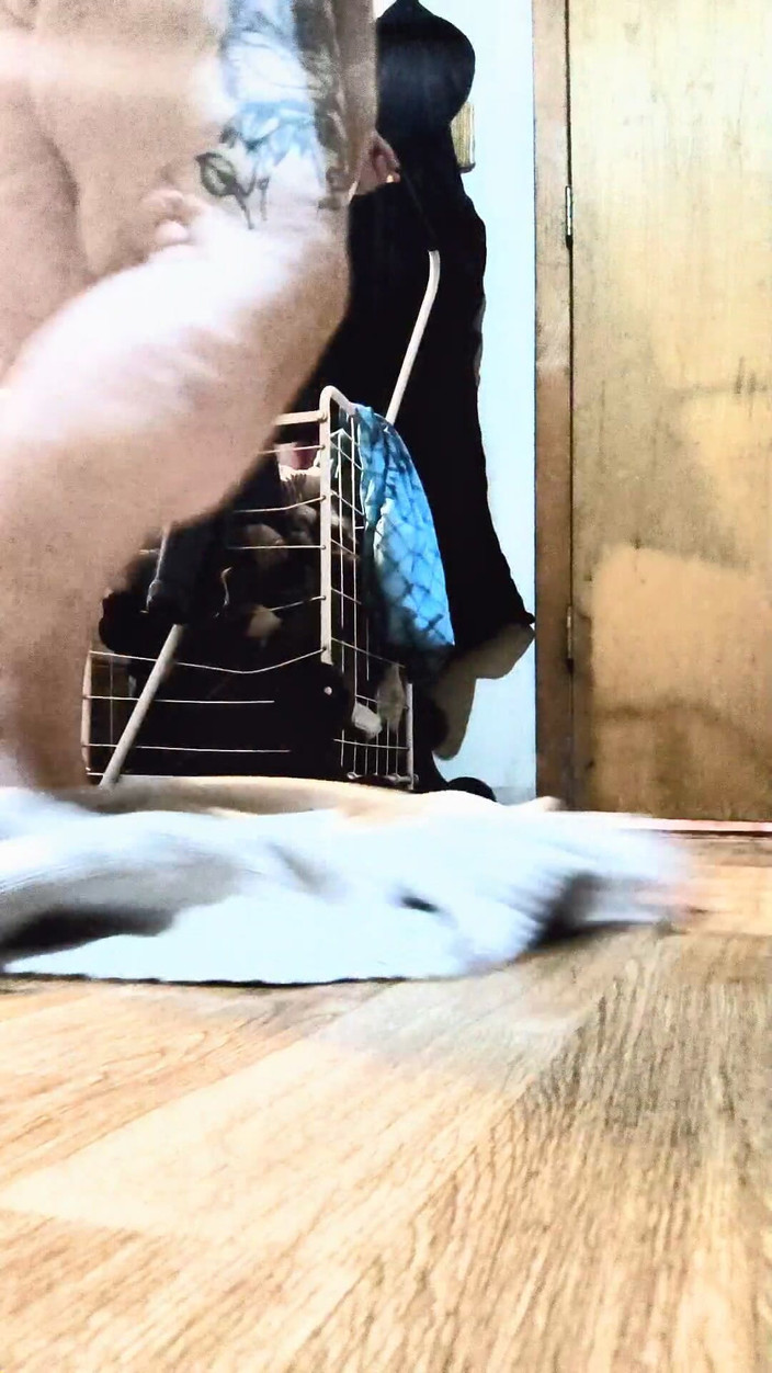 HerculesnVENUS: Řekl, že chci zkusit něco nového s U, pak se to...