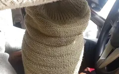 Suck in Car Fuck at Home
