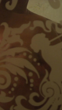 Vortexxx