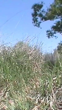 Pompino all'aperto dalla troia bruna jessica