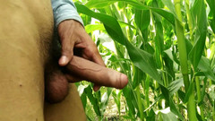 Desimast7: Seks to życie