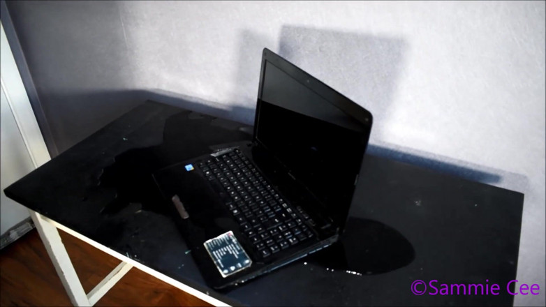 Sammie Cee: Sika na mojego laptopa