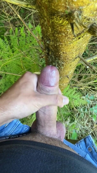 Zaharia: Forest wanki 2