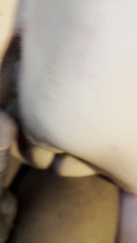 BBC Backshots and PAWG Pussy