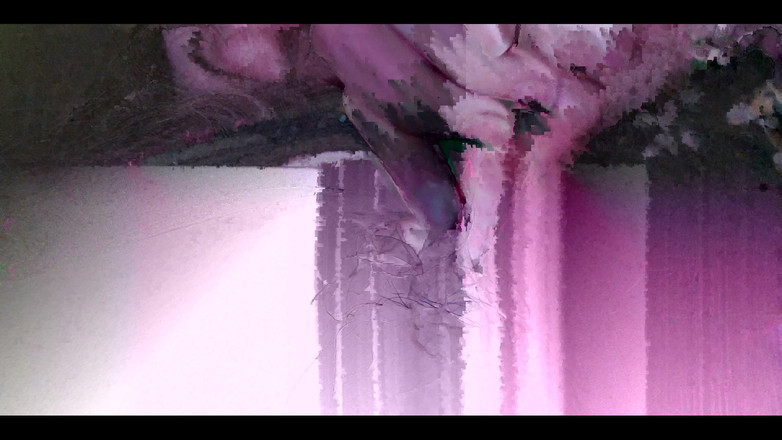 RavenHearth666VIP: 792514551017910272.mp4