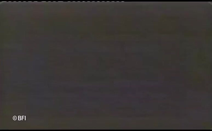 Ladyboy Paradise: Bemutatja