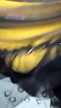 The Yellowish-yellowish Is the Black Black Black Gow and Puts the Tea