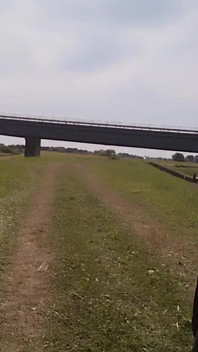 Goală la Pod