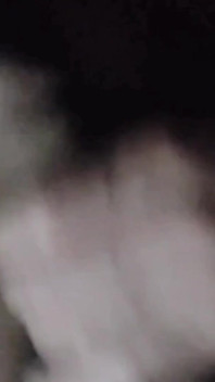 My Cock Is Very Horny