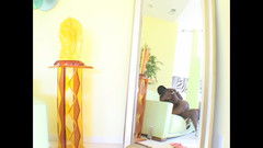 Lexinghton - Full HD: Le Donne Di Lexinghton Steele Raccontano La Loro Esperienza!! - (racconto # 03)