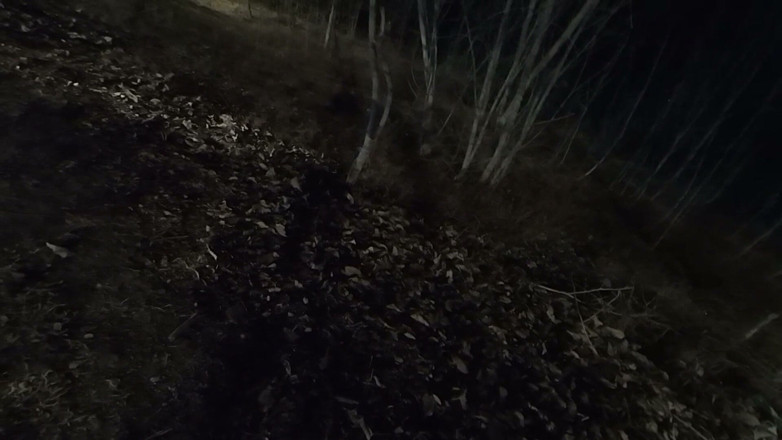 Mastermeat1: Tiktok-teef bijna betrapt in het bos door boswachters en anderen...