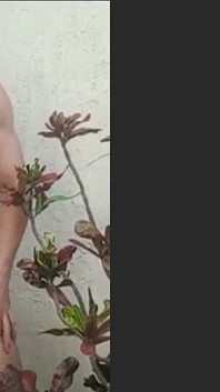 Fare la chiamata nei cespugli dove la gente poteva vedermi dalla strada. È stato caldo, esatto, pazzo e divertente