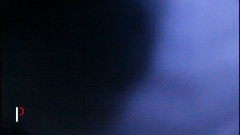 Britany: La cagna della mia sorellastra sta venendo a dormire con...