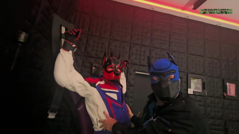 The Playing Puppies: Zabawa Szczeniąt Przyjemność Na Krzyżu Część 1