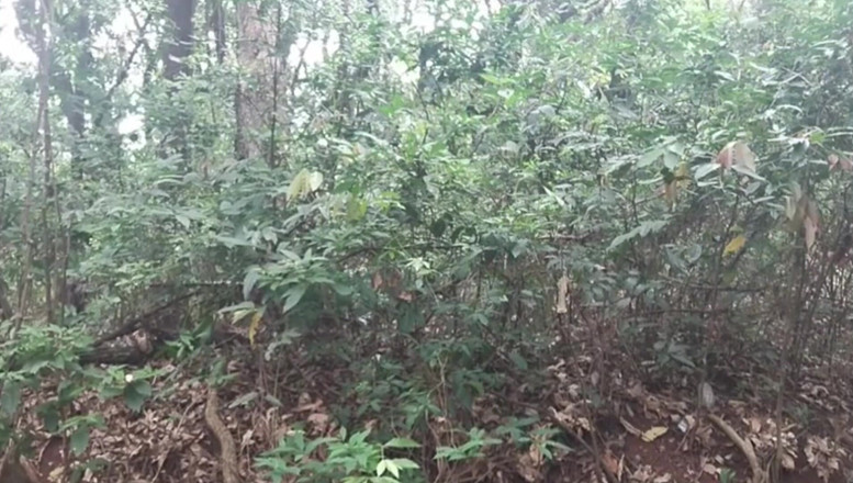 TheBlacKHunterr: ラグーンに立ち寄って、